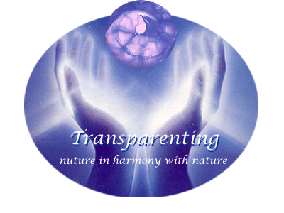 Transparenting Expressive Arts Classes